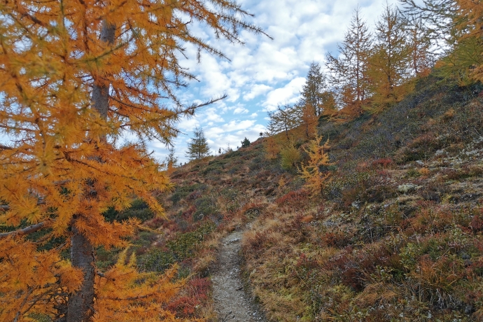 Fuorcla_Curschiglias_Samnaun Fuorcla_Curschiglias_Samnaun